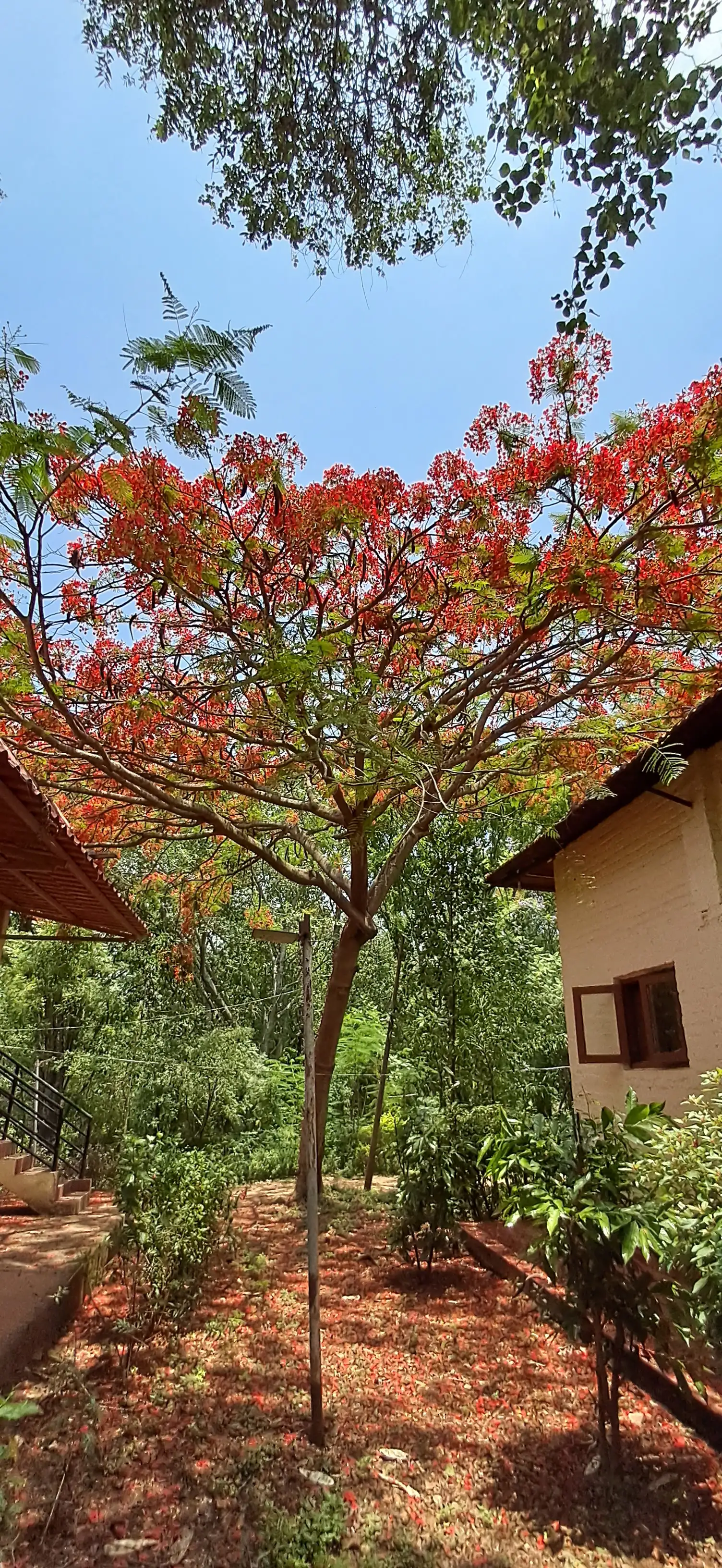 Evening gathering at the Ashram