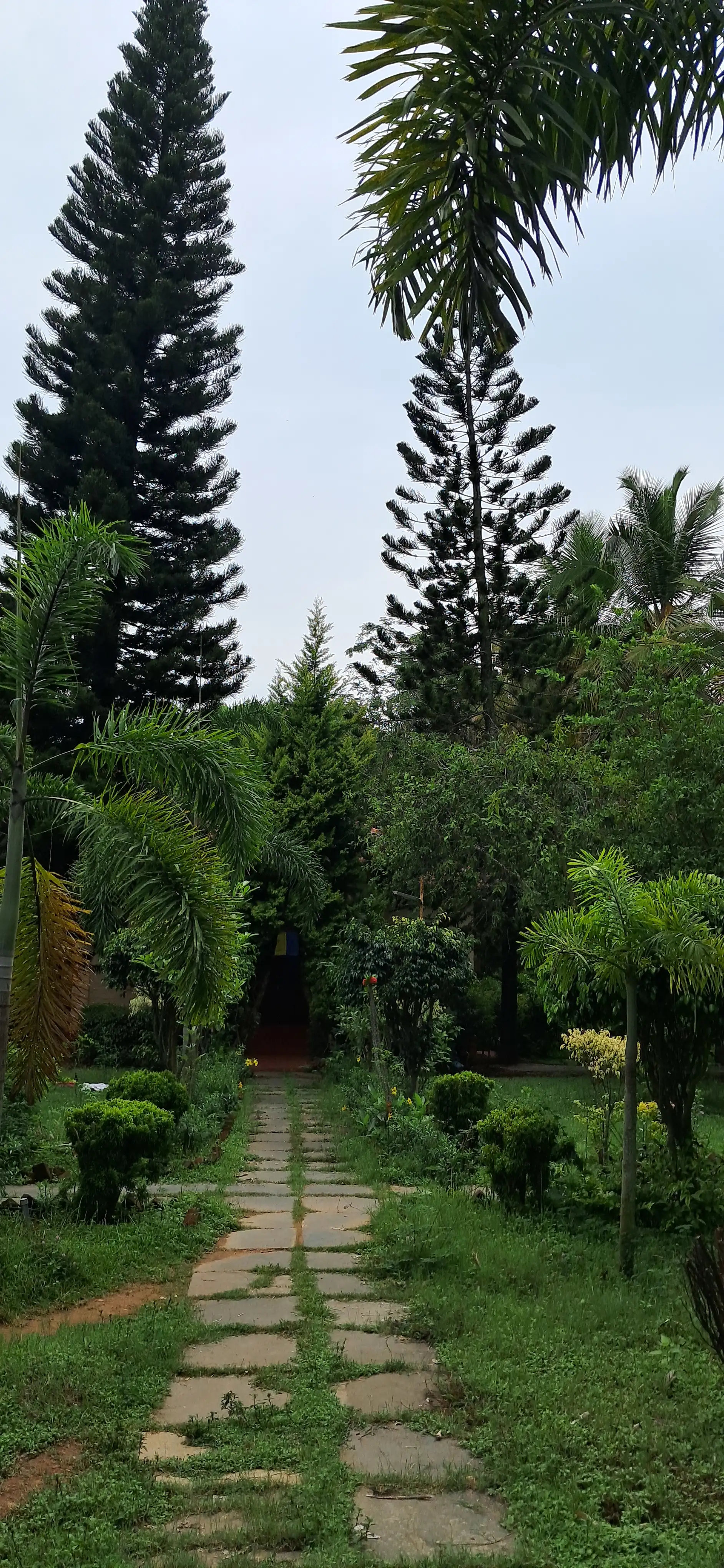 Evening gathering at the Ashram
